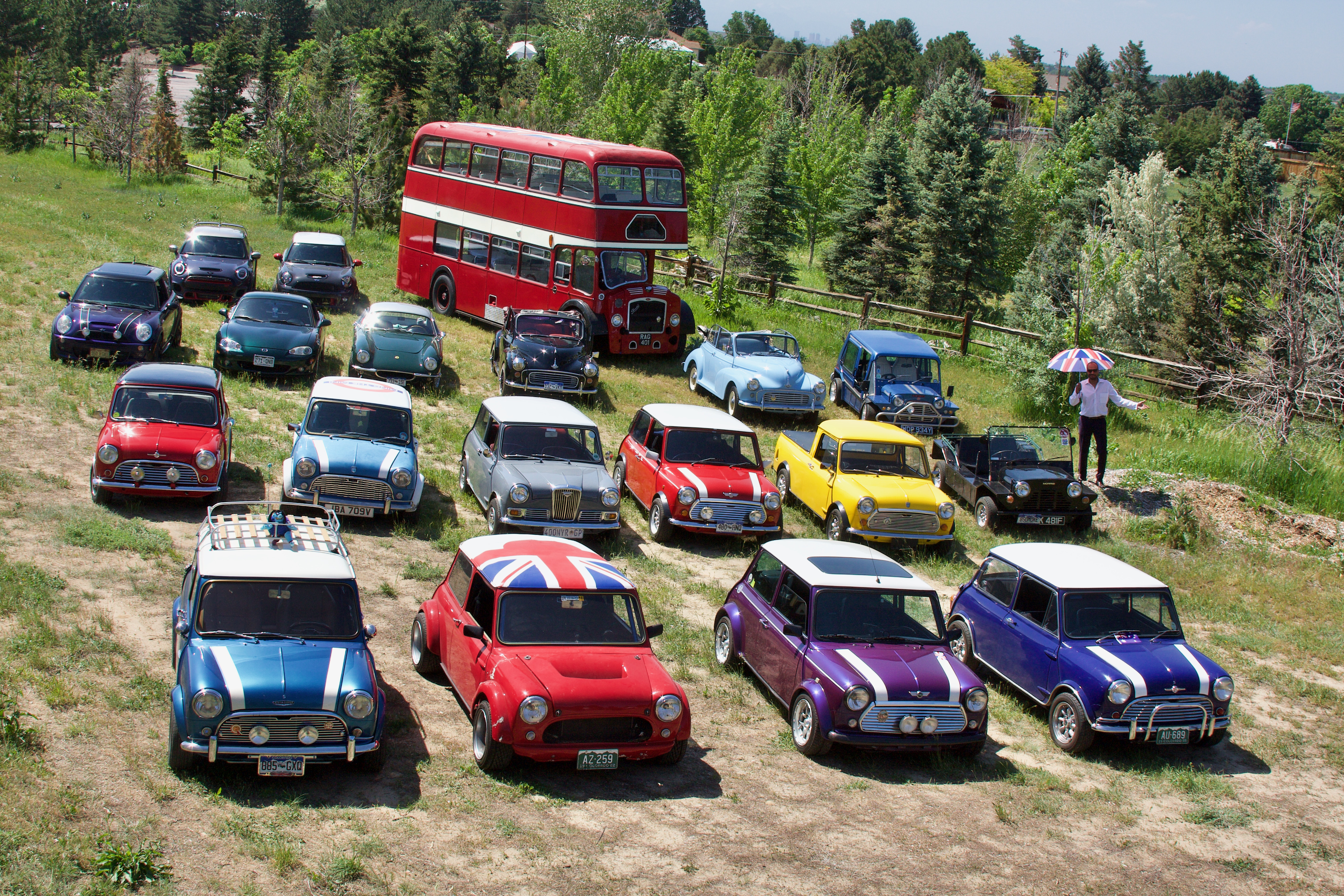 Minis of the Rockies